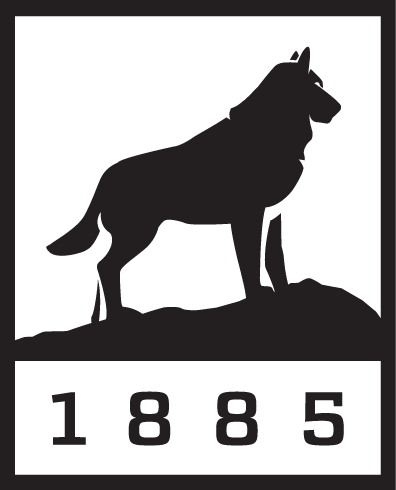 Michigan Technological University